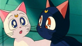 Красавица-воин Сейлор Мун 2 сезон 33 серия